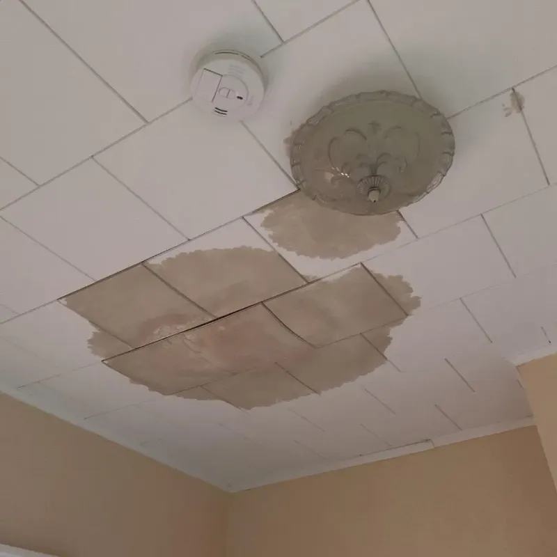 Ceiling Water Damage Repair in Rhinelander, WI