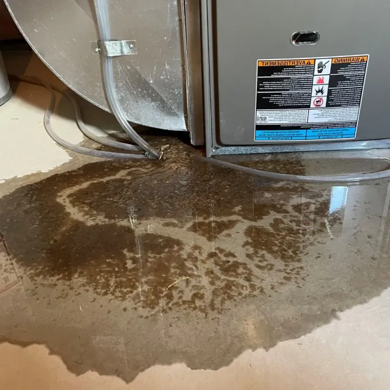 Pipe Burst and Leak Restoration in Rhinelander, WI
